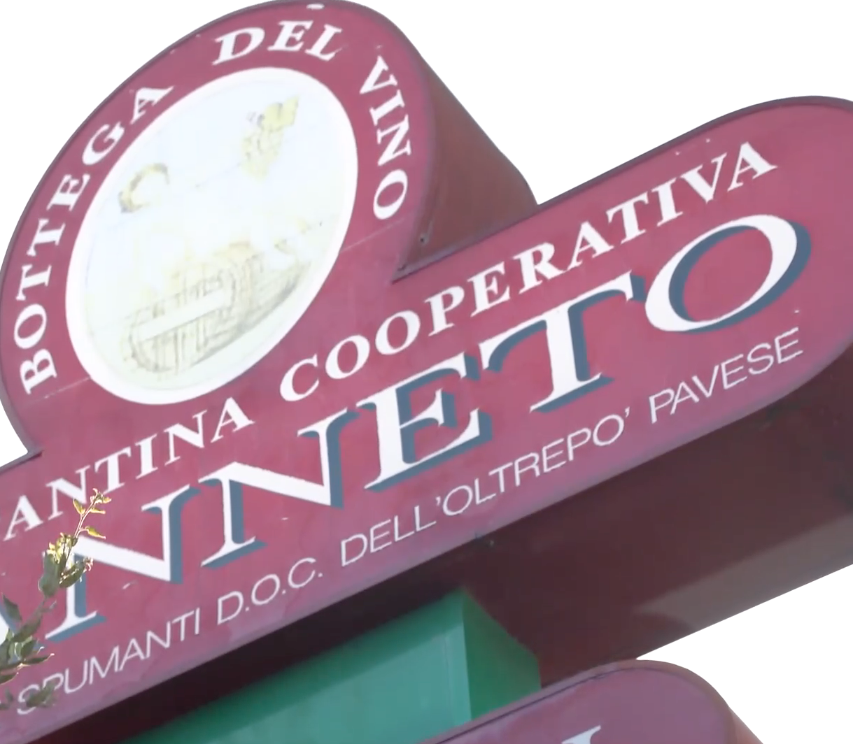 Canneto, Papalia eletta presidente della Cantina sociale: “deciso cambiamento”