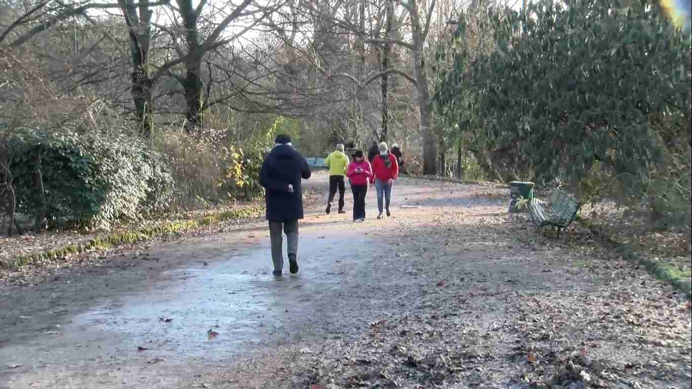 Milano, istituito il Garante del Verde, dissenso anche nella maggioranza