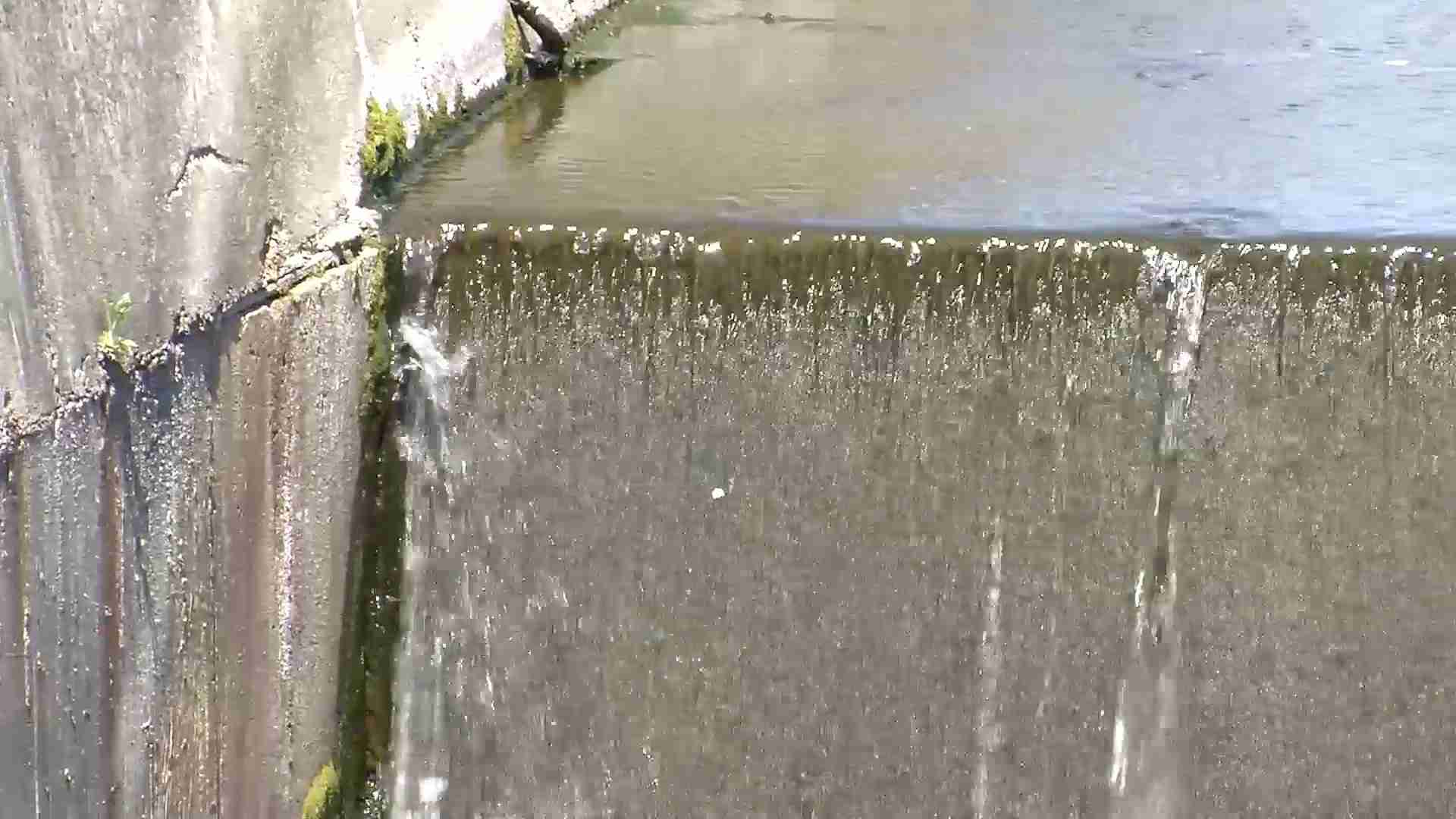 Milano, siccità: ecco perché le piogge degli ultimi giorni son servite a poco
