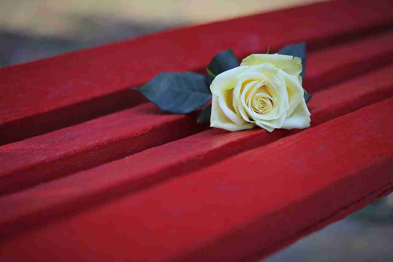 Aumentano gli orfani di crimini domestici e i sussidi sono ancora troppo poco conosciuti