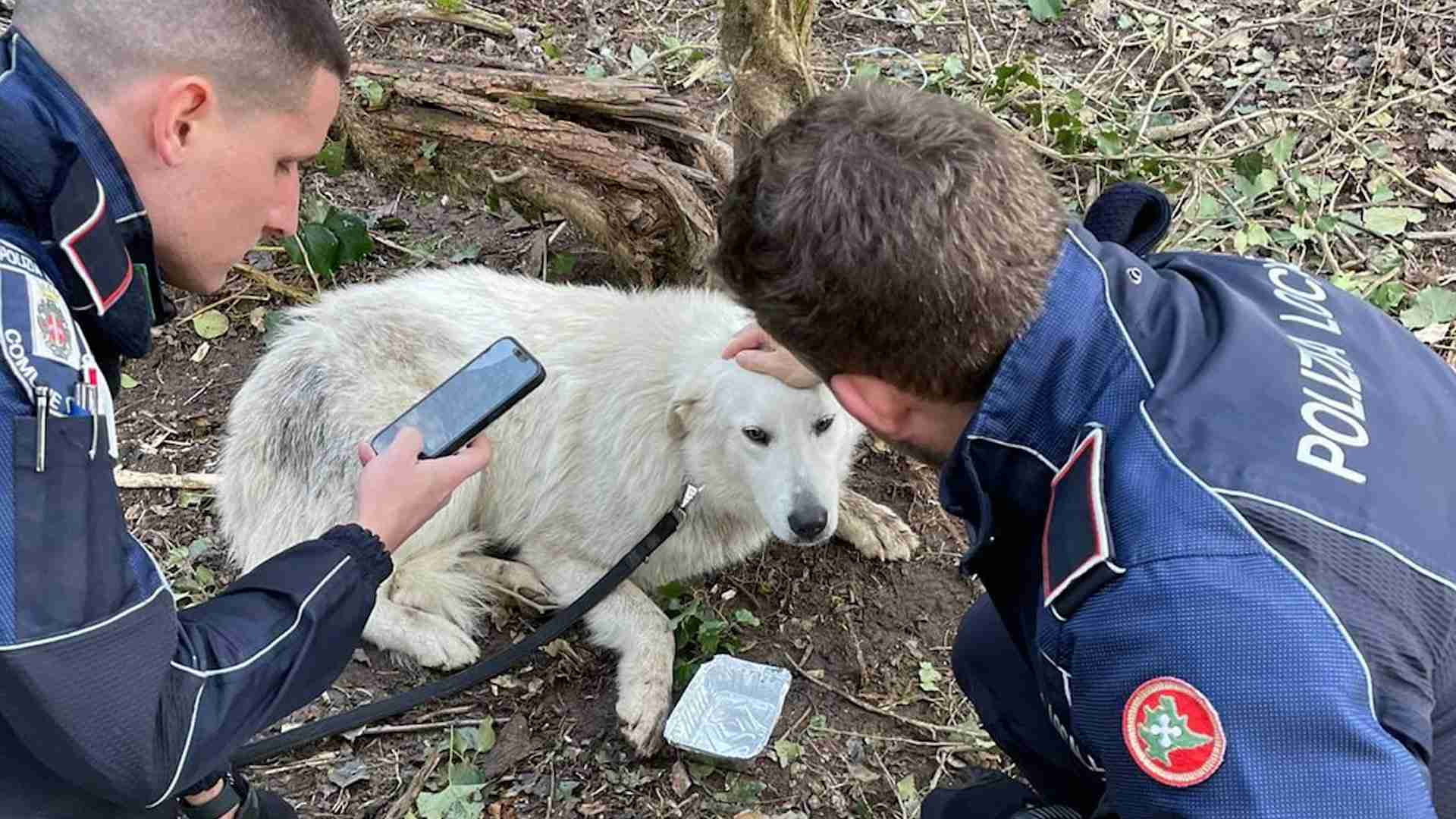 Pavia, il cane rimane incastrato in una trappola: salvato dagli agenti della Locale