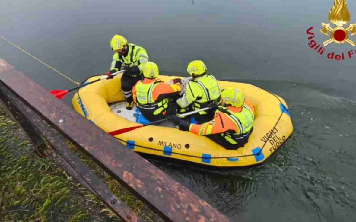 Ancora in cura il lupo ripescato nel Naviglio, si riprenderà completamente in un mese