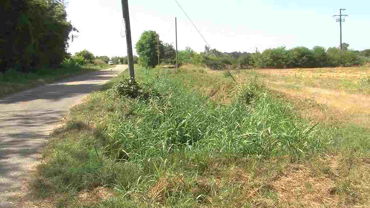 Fotovoltaici in Lomellina, a Mede spunta un altro progetto da 20 ettari