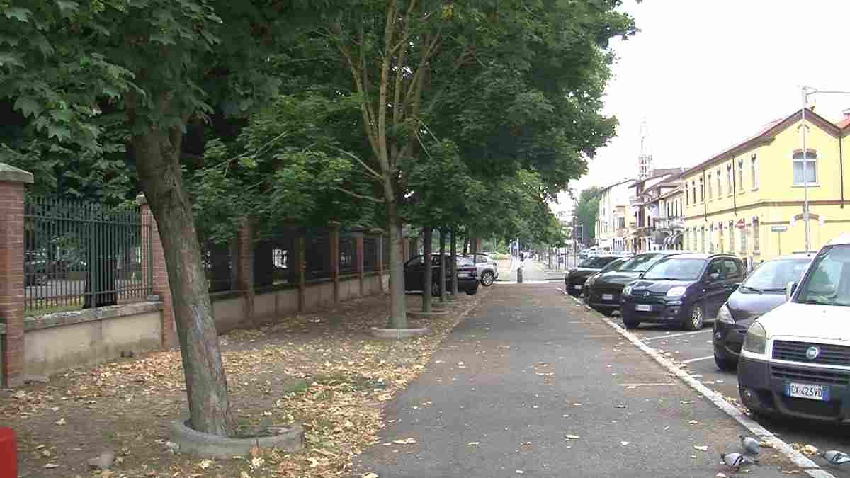 Vigevano, piante di fiori rubate in via Sacchetti: erano state donate da un gruppo di volontari nato su Facebook