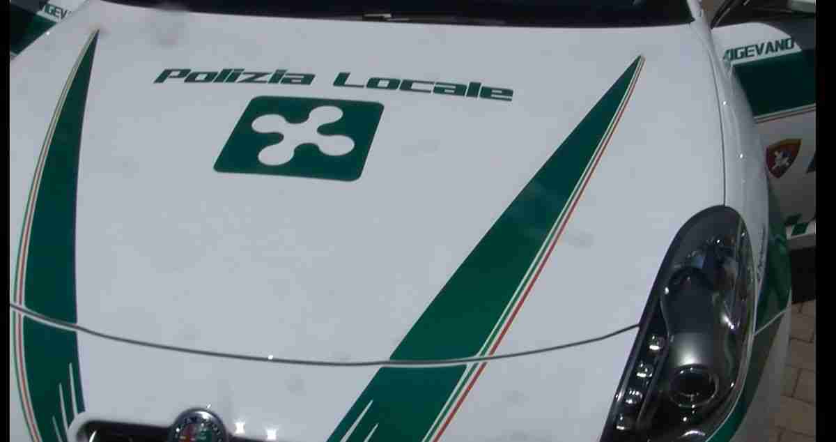 Vigevano, il mistero dei cani trovati morti al Salto: indagato il proprietario resosi irreperibile