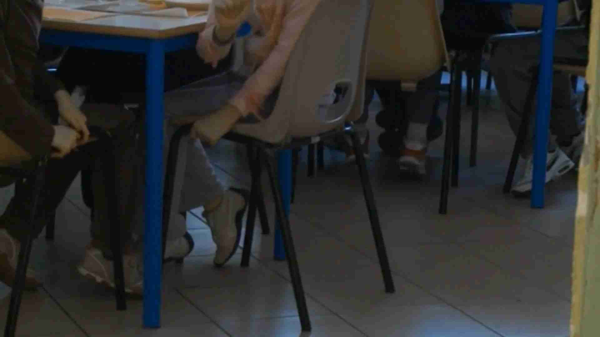 Pavia, trasporto scolastico degli studenti con disabilità: ecco gli aiuti per le famiglie