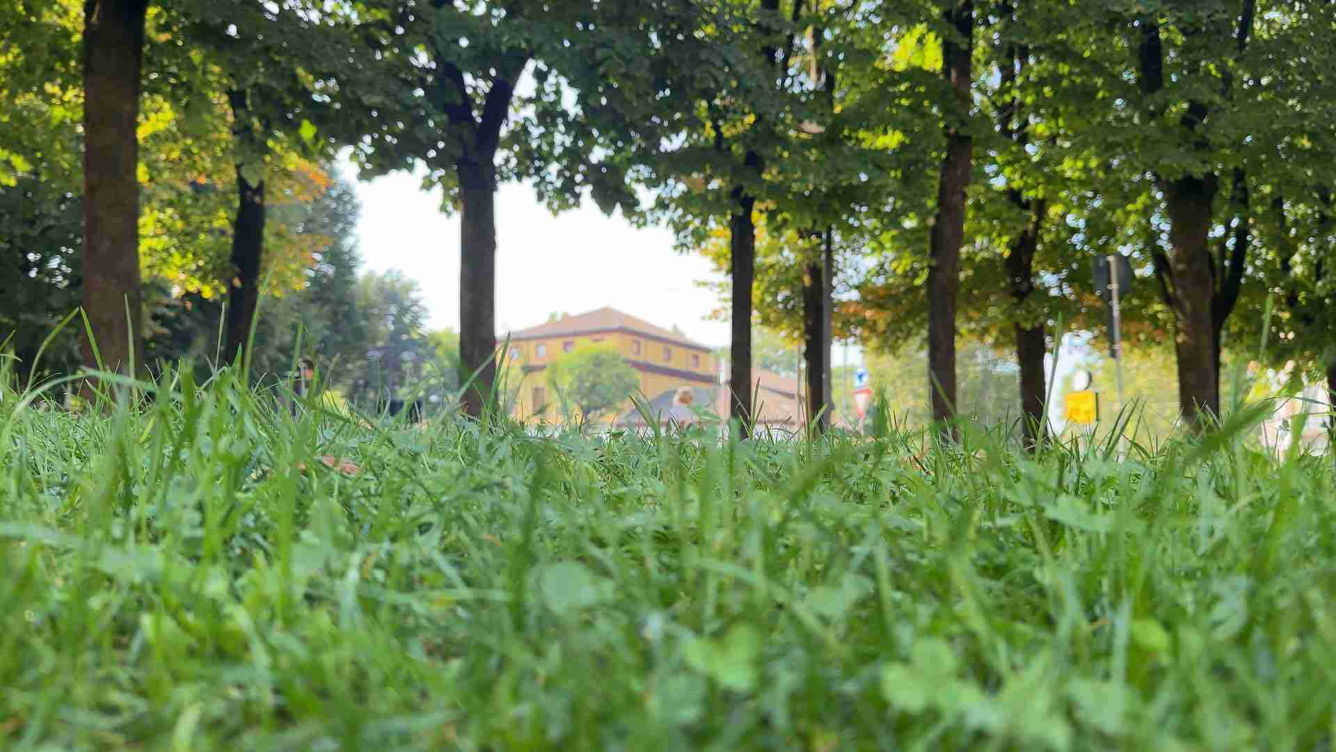 Voghera, in Consiglio la mozione sulla crisi climatica: ‘Il Comune si metta subito al lavoro’