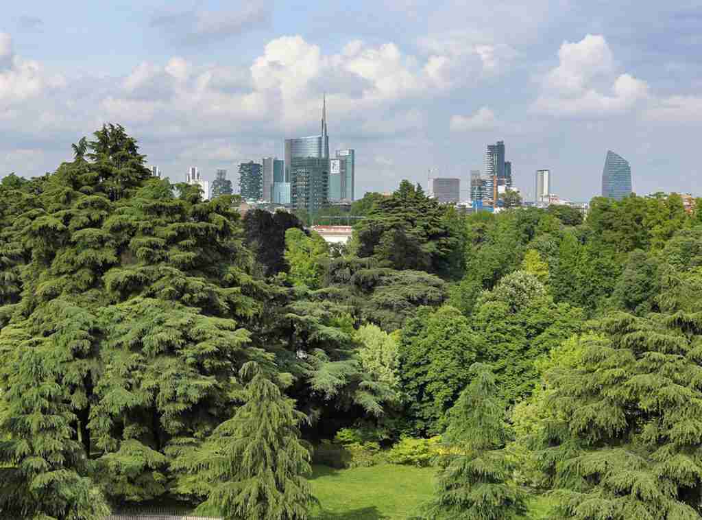 Foreste e Pnrr: il progetto di Città Metropolitana di Milano