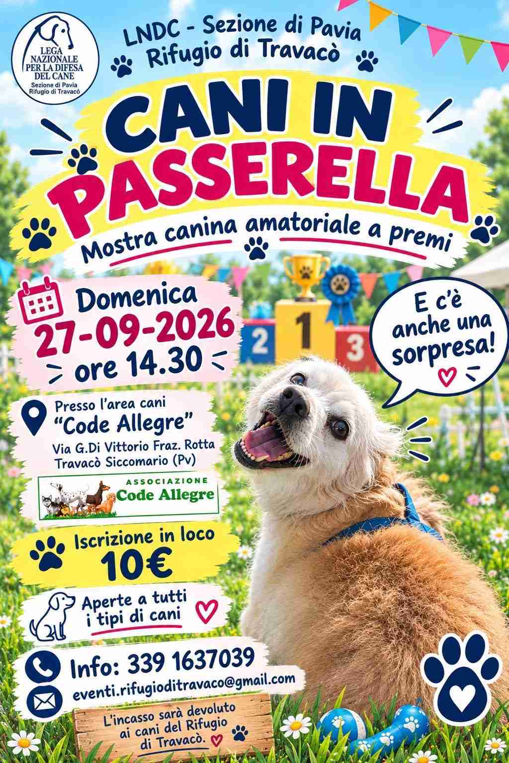 Amore per gli animali e solidarietà: L’evento “Cani in passerella” a Travacò Siccomario